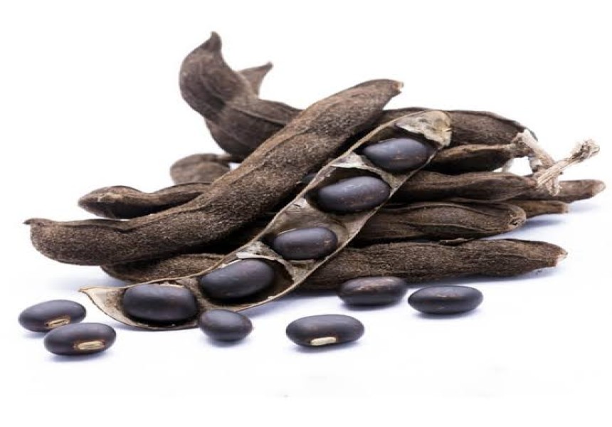 Namakotto ou thangare (Mucuna pruriens): uma sugestão gastronómica makhwa para viajante