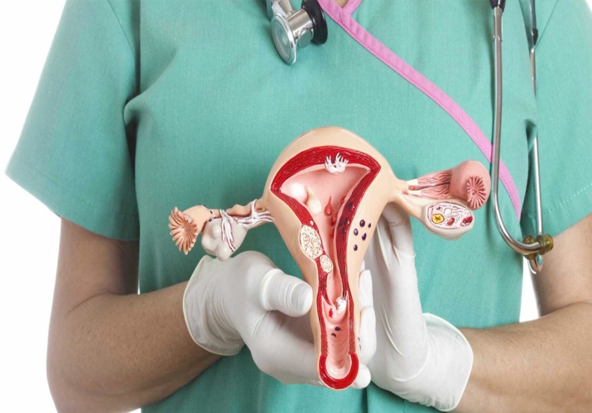 WuNgonwa (infertilidade feminina): uma explicação tradicional do fenómeno