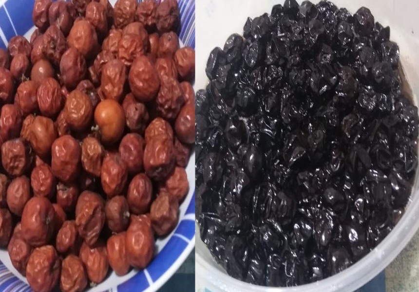 Maçanica (Zizyphus mauritania): da alimentação à medicina
